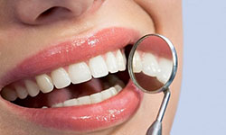 Dental Health Examination Bellville